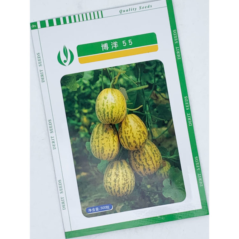 博洋55豹点甜瓜种子花白皮薄皮白肉甜瓜种子500粒原装