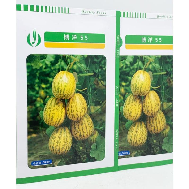 博洋55豹点甜瓜种子花白皮薄皮白肉甜瓜种子500粒原装