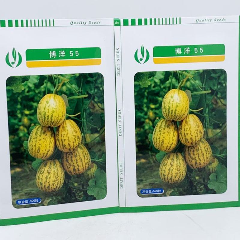 博洋55豹点甜瓜种子花白皮薄皮白肉甜瓜种子500粒原装