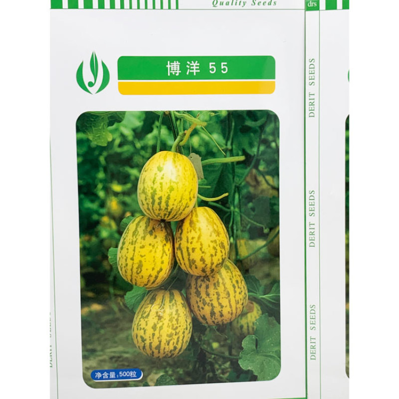 博洋55豹点甜瓜种子花白皮薄皮白肉甜瓜种子500粒原装