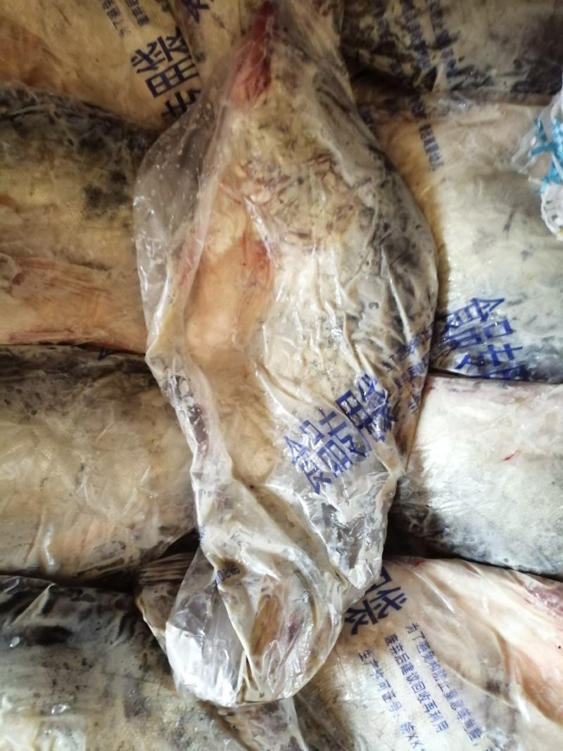 桂鱼冰鲜桂鱼臭桂鱼标桂大眼桂鱼鳜鱼