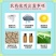 嘉绿元1.8%阿维菌素红蜘蛛木虱线虫小菜蛾二化螟三化螟烟