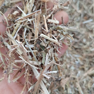 花生秧牛羊干草料