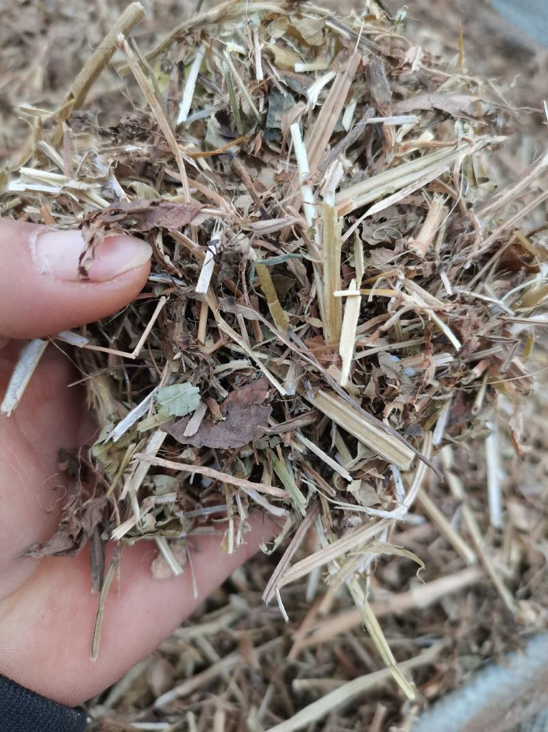 花生秧牛羊干草料