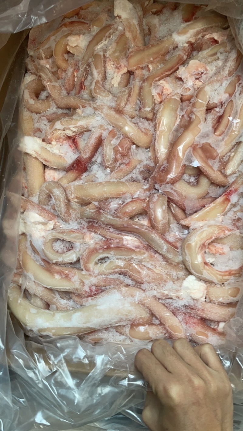 干水中大条纯牛鞭精修牛蛋牛鞭宝长年批发品质过硬