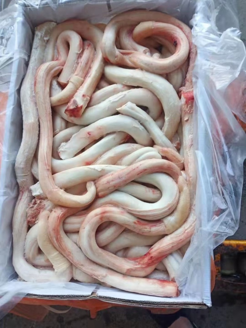 干水中大条纯牛鞭精修牛蛋牛鞭宝长年批发品质过硬