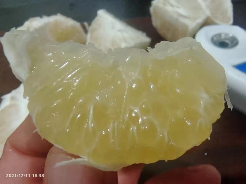 黄金贡柚