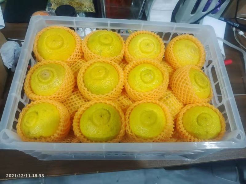黄金贡柚