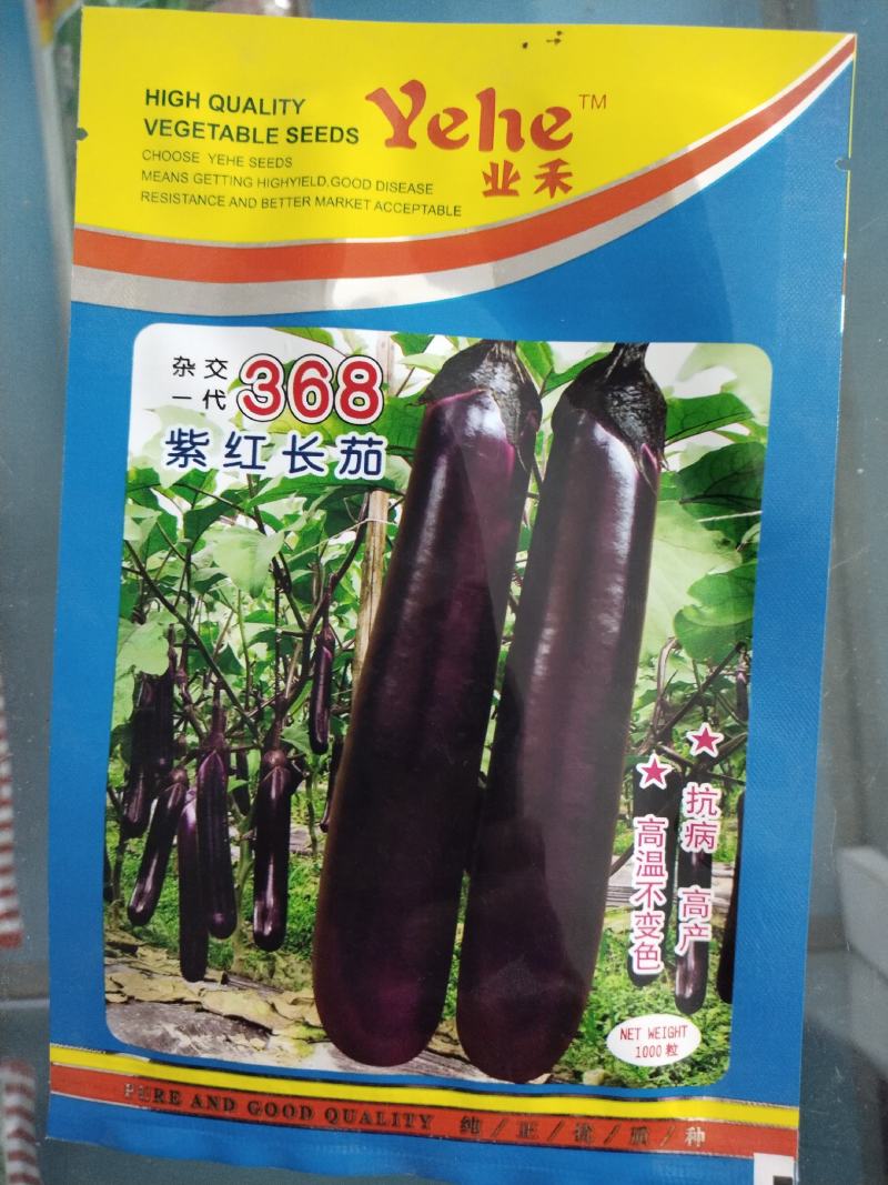 368紫红长茄种子果条顺直果皮深紫光泽度好