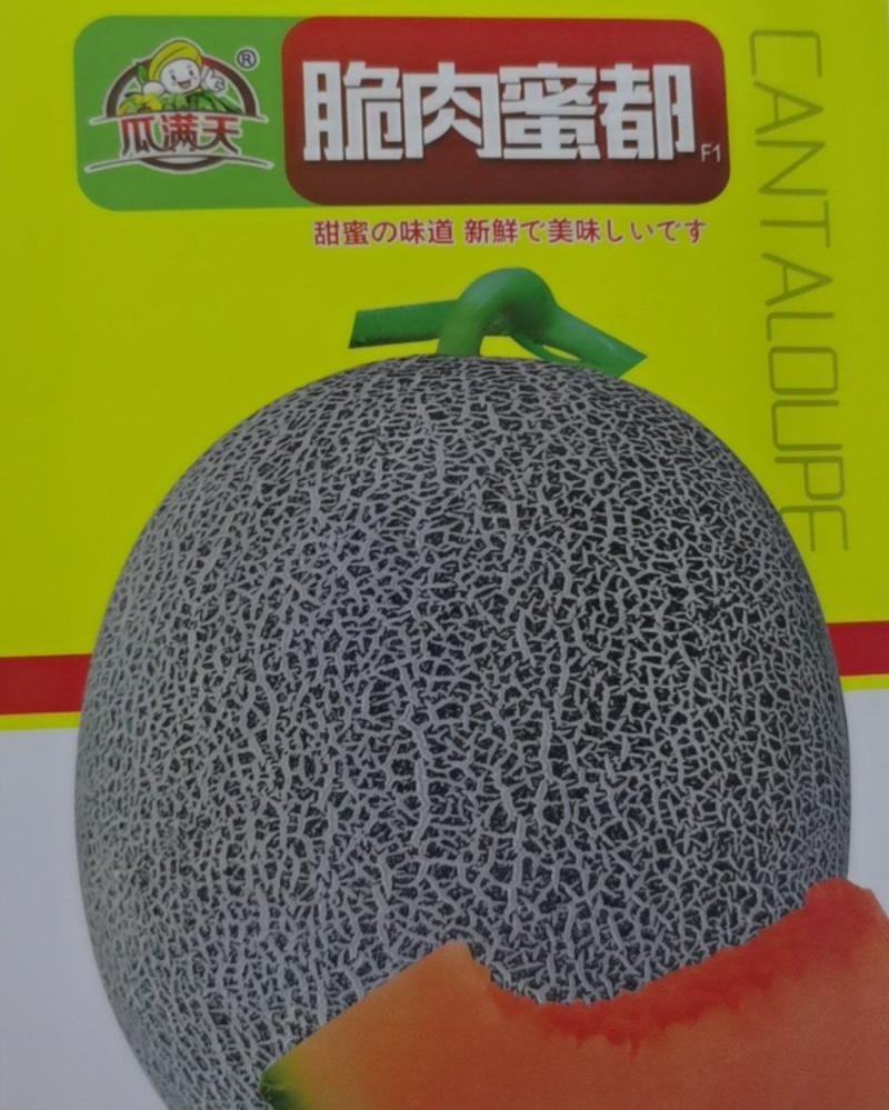 哈蜜瓜种子网纹冰糖蜜瓜种籽水果甜籽甜度高基地专用