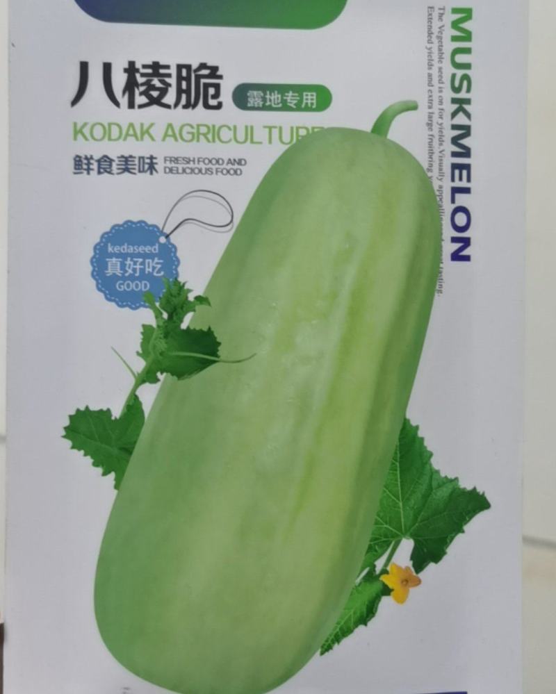 菜瓜种子八棱脆菜瓜青瓜甜瓜嫩瓜种籽香脆菜瓜春秋种植