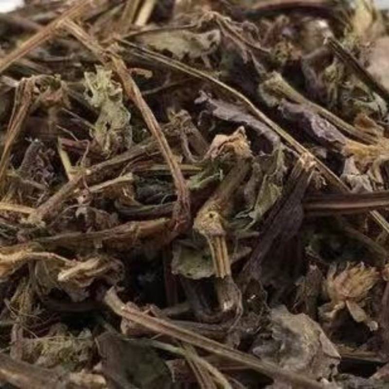 石莽草头花蓼太阳草石辣蓼小红藤四季红新货