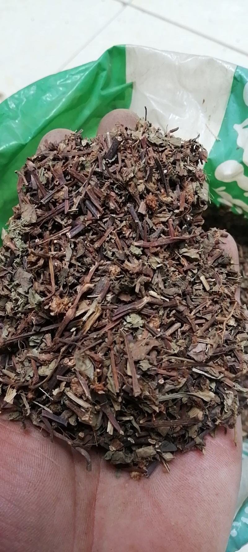 石莽草头花蓼太阳草石辣蓼小红藤四季红新货
