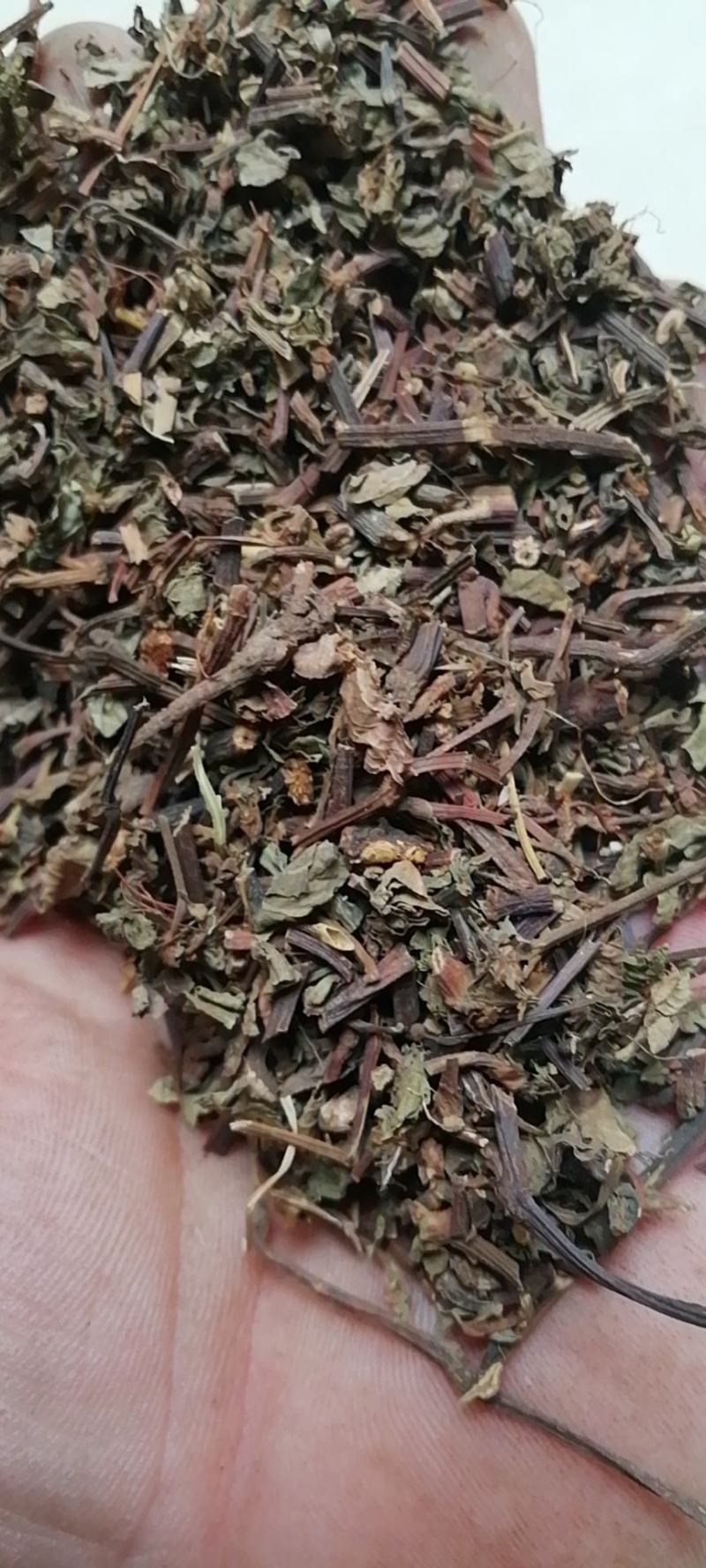 石莽草头花蓼太阳草石辣蓼小红藤四季红新货