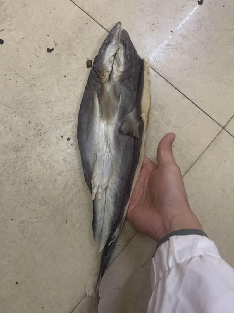 干海鲜，鲨鱼，墨鱼仔，鱿鱼肉
