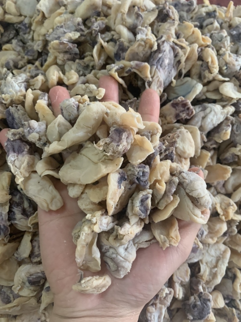 干海鲜，鲨鱼，墨鱼仔，鱿鱼肉