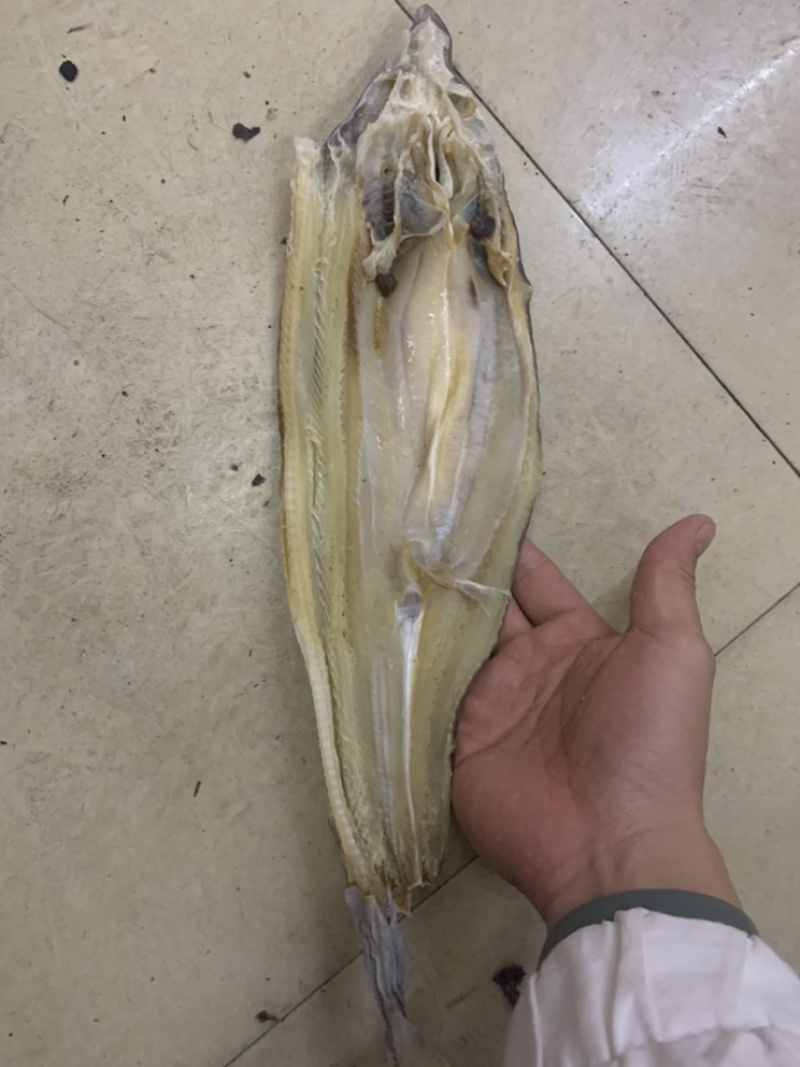 干海鲜，鲨鱼，墨鱼仔，鱿鱼肉