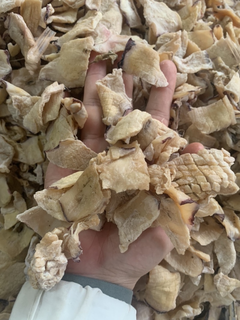 干海鲜，鲨鱼，墨鱼仔，鱿鱼肉