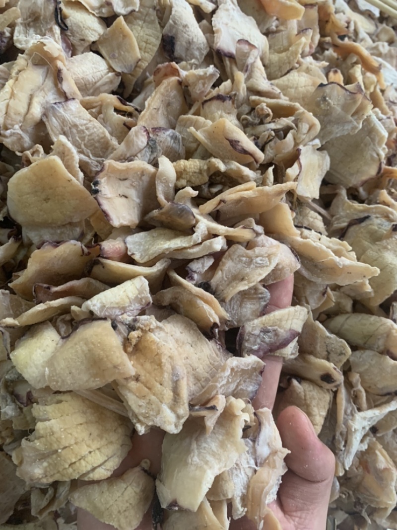 干海鲜，鲨鱼，墨鱼仔，鱿鱼肉