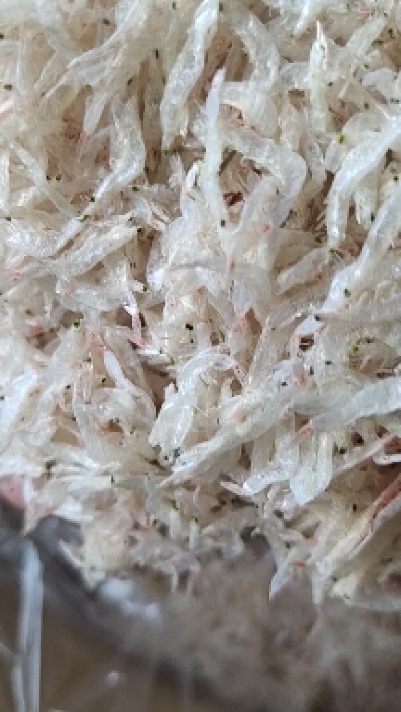 广东茂名水产干货，今年新货生烘虾皮，新鲜无杂质，香味足