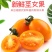 【零售代发】福建漳州龙海现摘新鲜金玲珑黄色圣女果小番茄