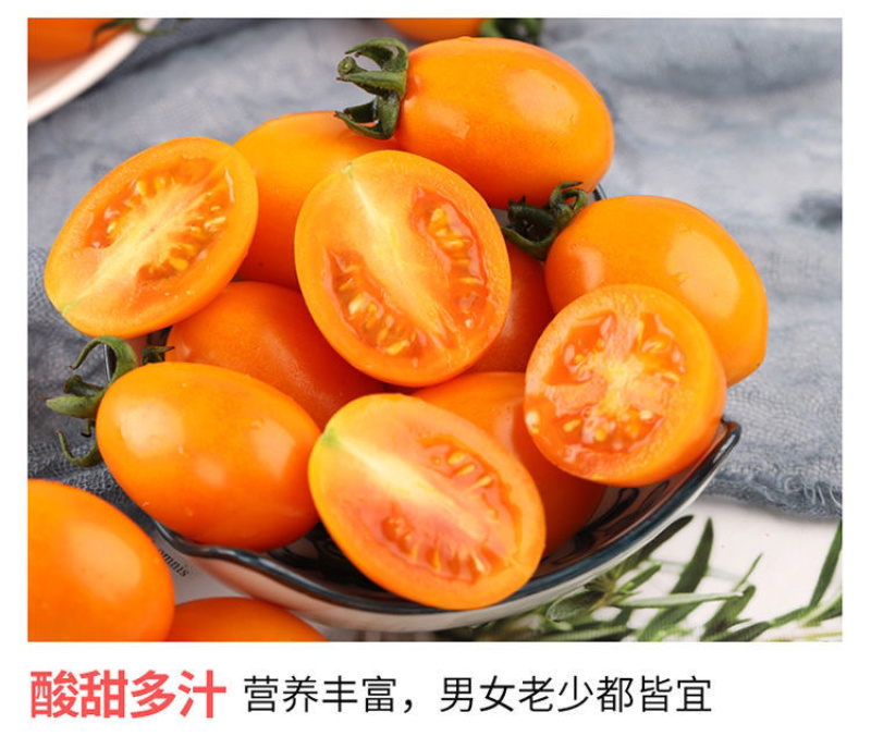 【零售代发】福建漳州龙海现摘新鲜金玲珑黄色圣女果小番茄