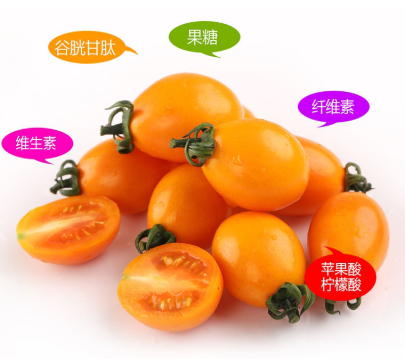 【零售代发】福建漳州龙海现摘新鲜金玲珑黄色圣女果小番茄