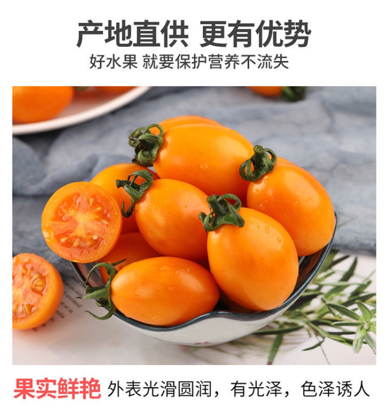 【零售代发】福建漳州龙海现摘新鲜金玲珑黄色圣女果小番茄