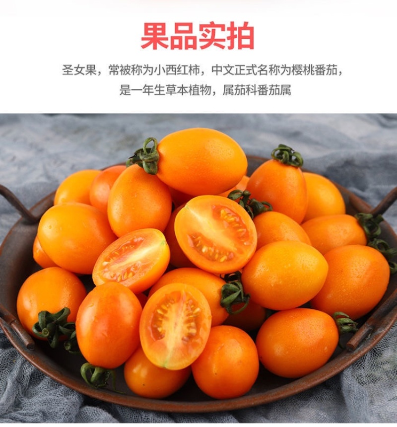 【零售代发】福建漳州龙海现摘新鲜金玲珑黄色圣女果小番茄