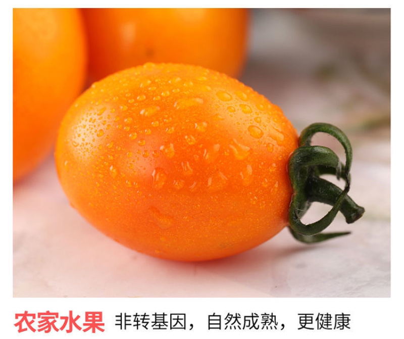 【零售代发】福建漳州龙海现摘新鲜金玲珑黄色圣女果小番茄