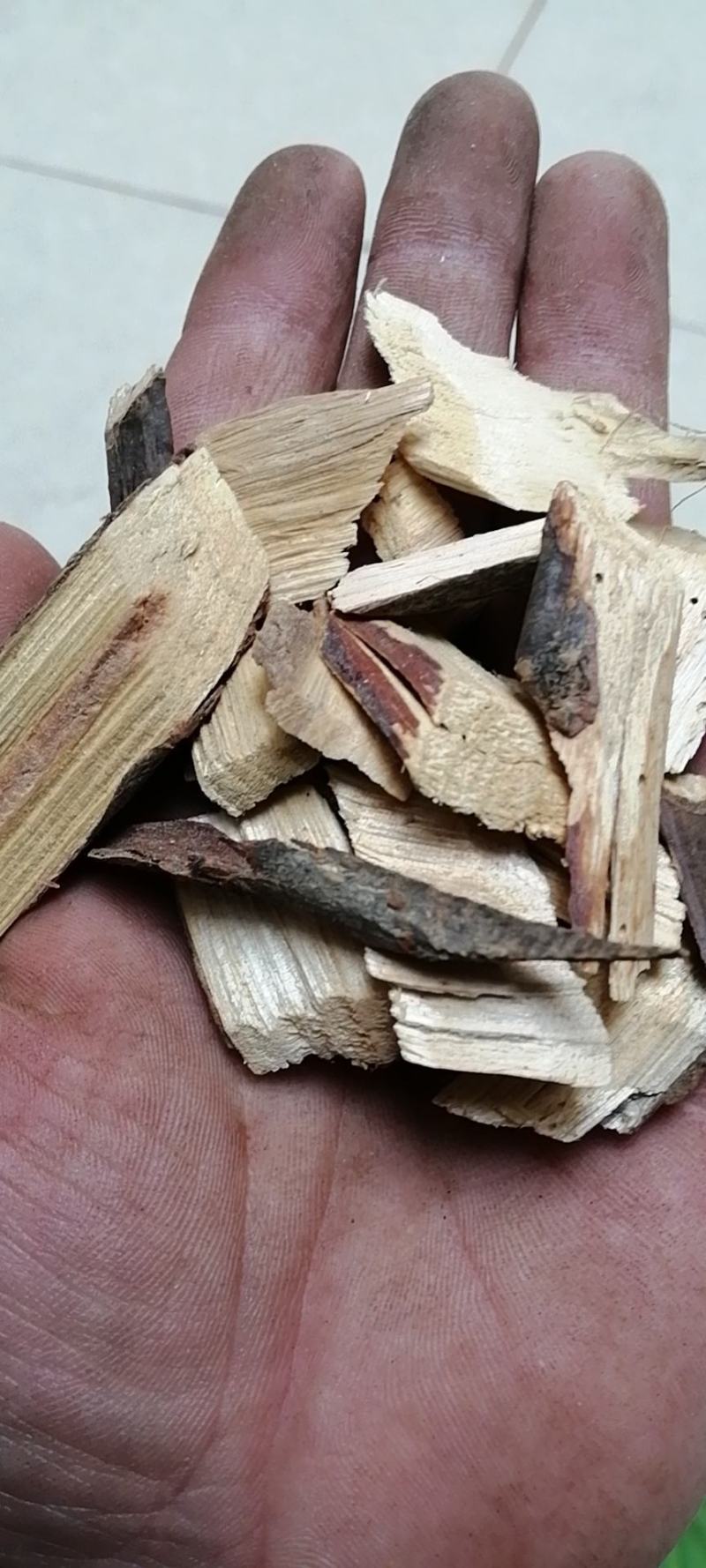 盐肤木根盐霜柏盐麸子根盐麸子根五倍根