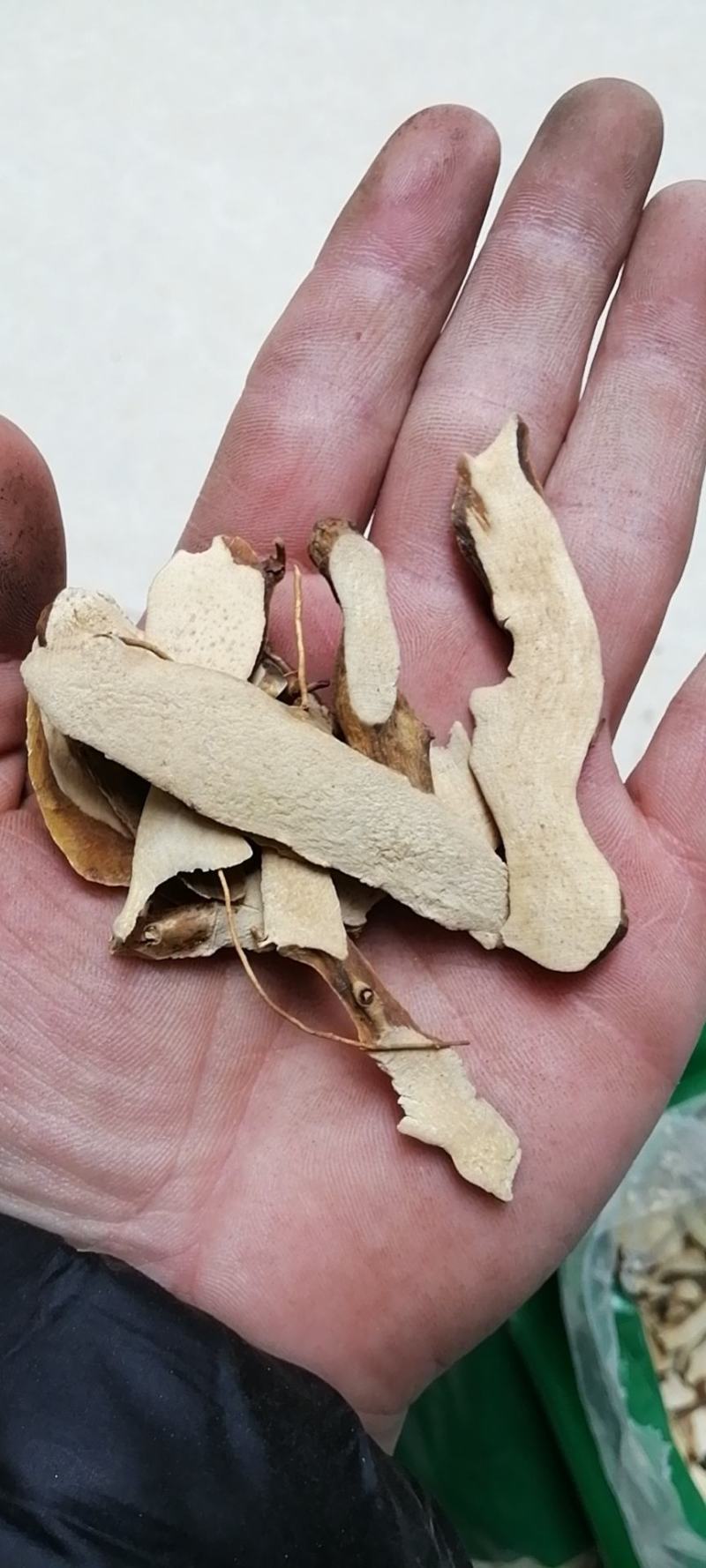 穿山龙穿地龙穿龙骨川地龙串地龙地龙骨