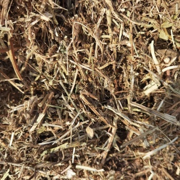大量出售牛羊用袋装花生秧二次粉碎加工柔丝除尘