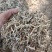大量出售牛羊用袋装花生秧二次粉碎加工柔丝除尘