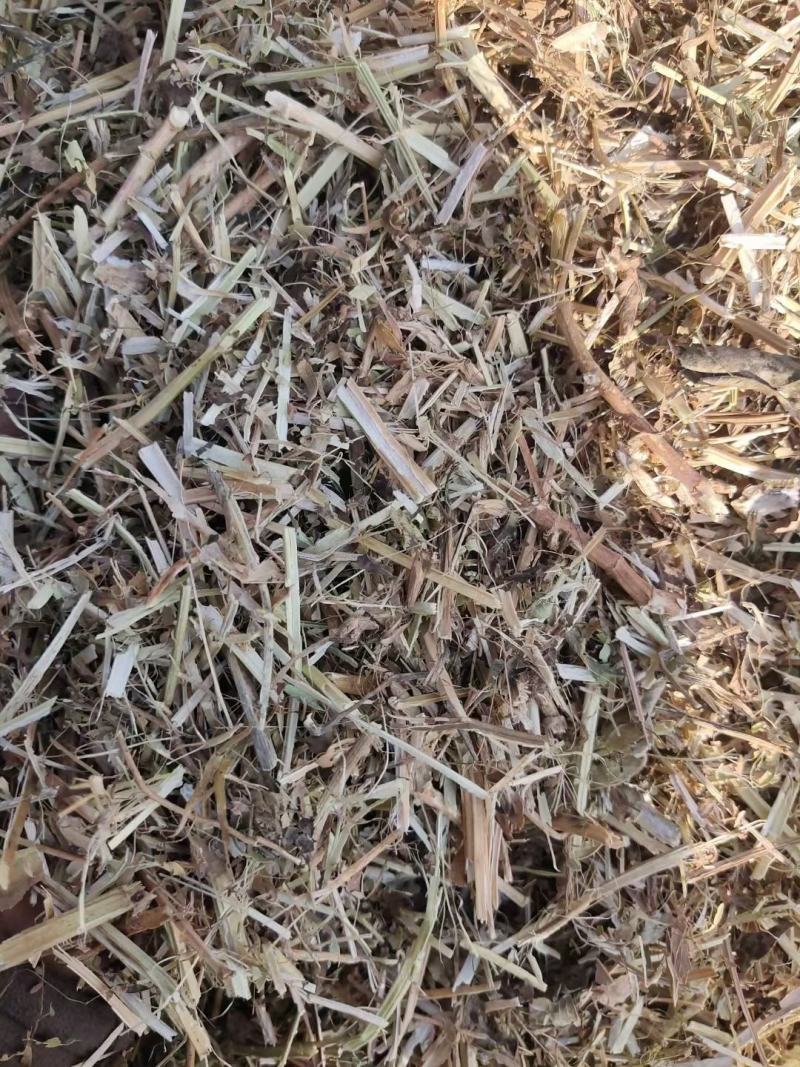 大量出售牛羊用袋装花生秧二次粉碎加工柔丝除尘