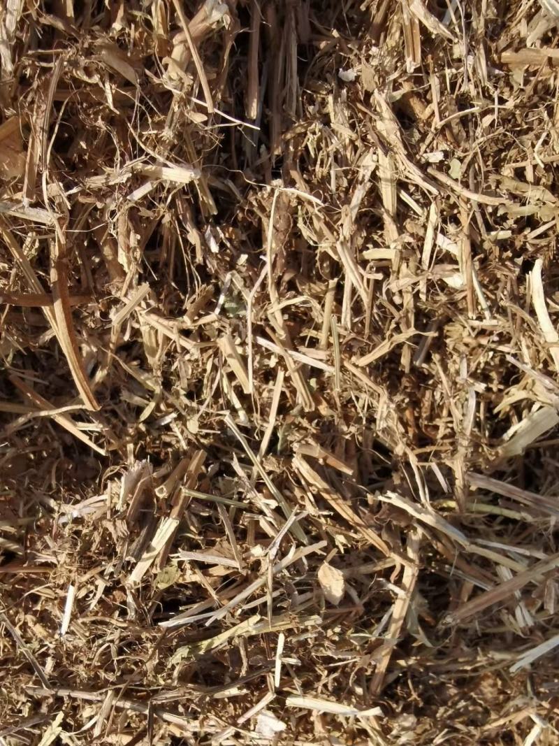 大量出售牛羊用袋装花生秧二次粉碎加工柔丝除尘