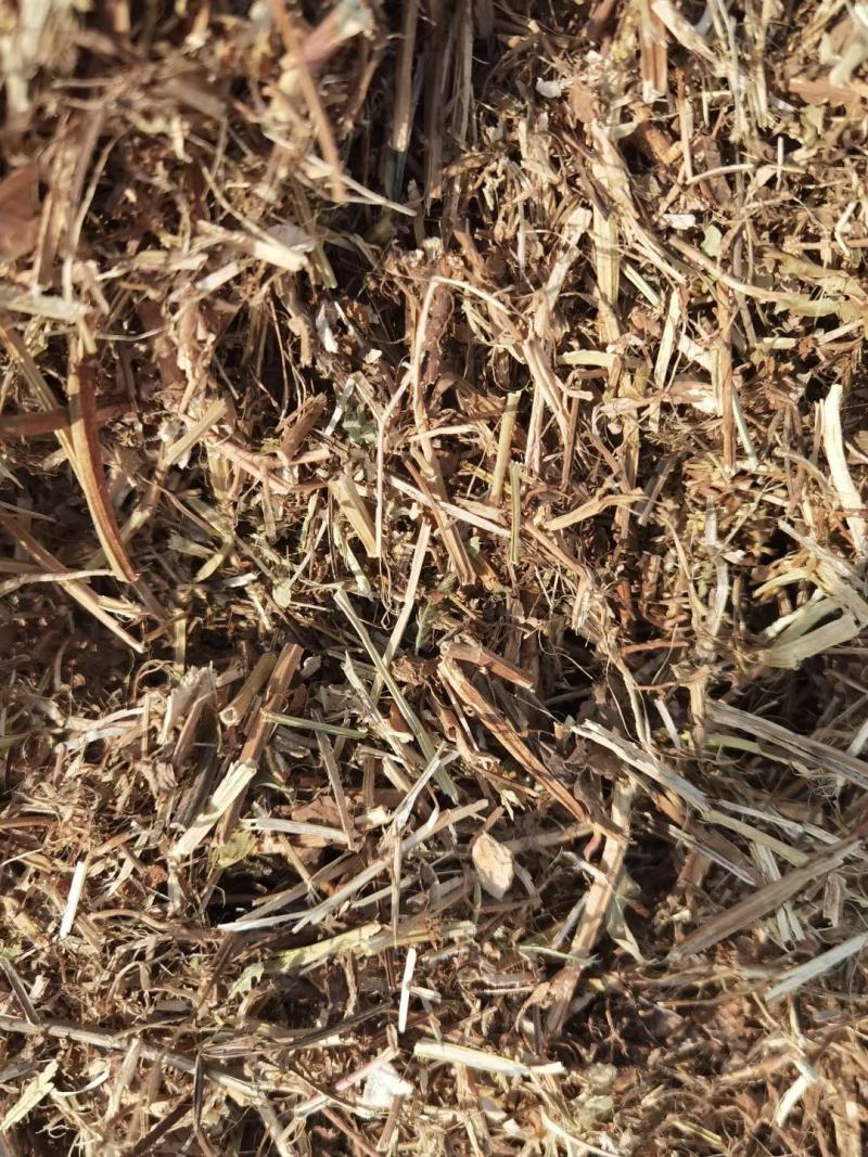 大量出售牛羊用袋装花生秧二次粉碎加工柔丝除尘
