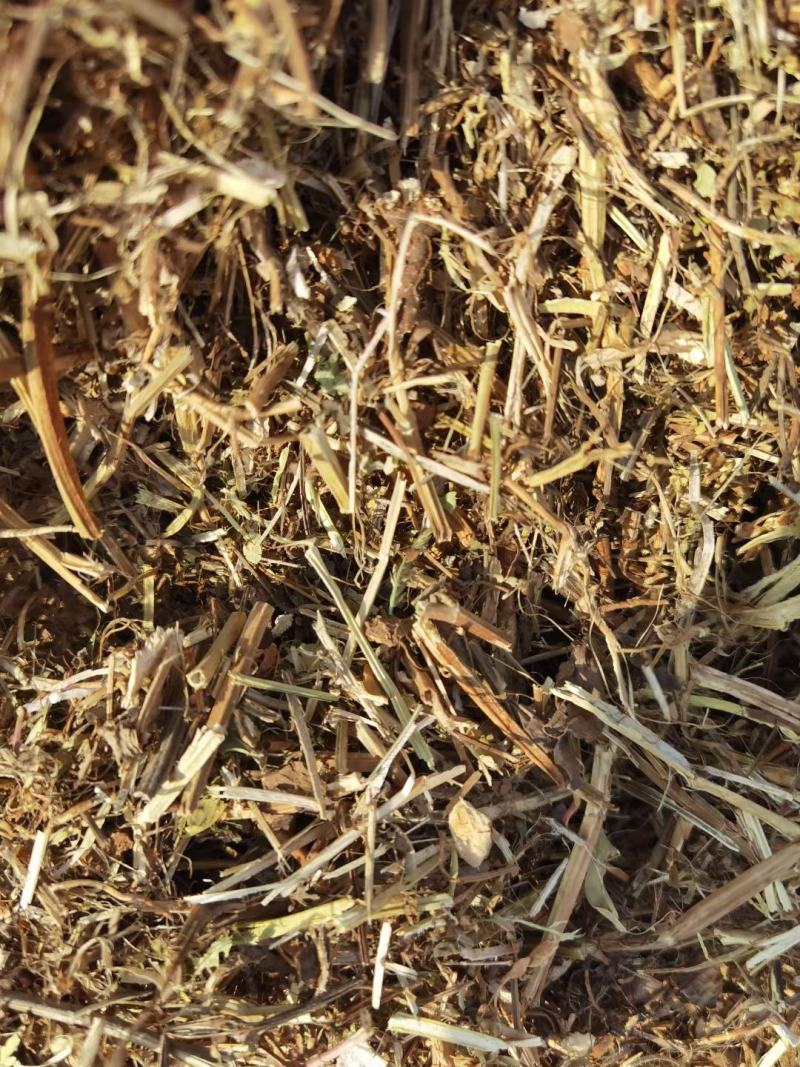 大量出售牛羊用袋装花生秧二次粉碎加工柔丝除尘