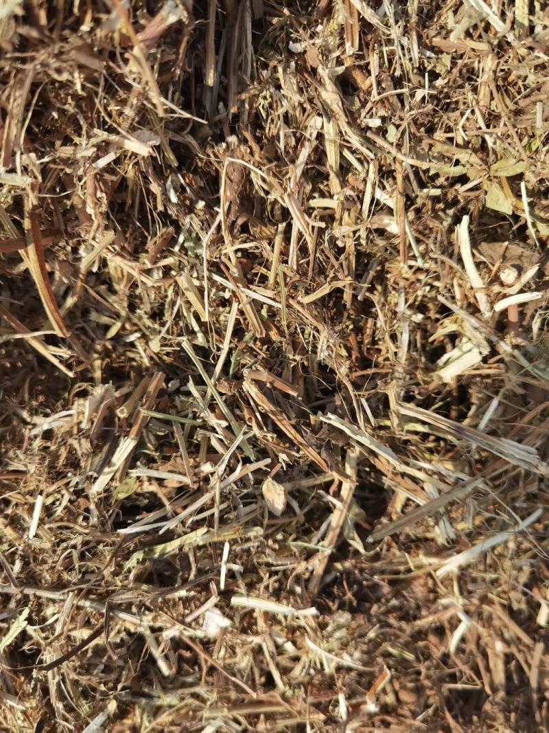 大量出售牛羊用袋装花生秧二次粉碎加工柔丝除尘