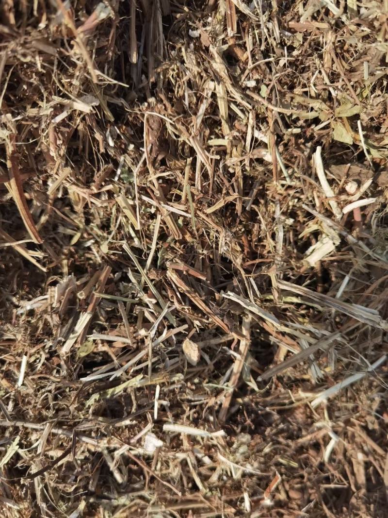 大量出售牛羊用袋装花生秧二次粉碎加工柔丝除尘
