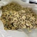 菊花药用菊花无硫干货2斤起包邮