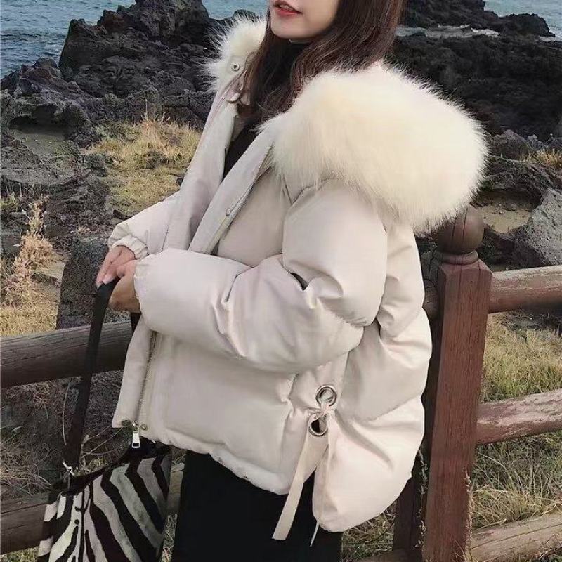 女装新款韩版简约面包服特批28元一件码数齐