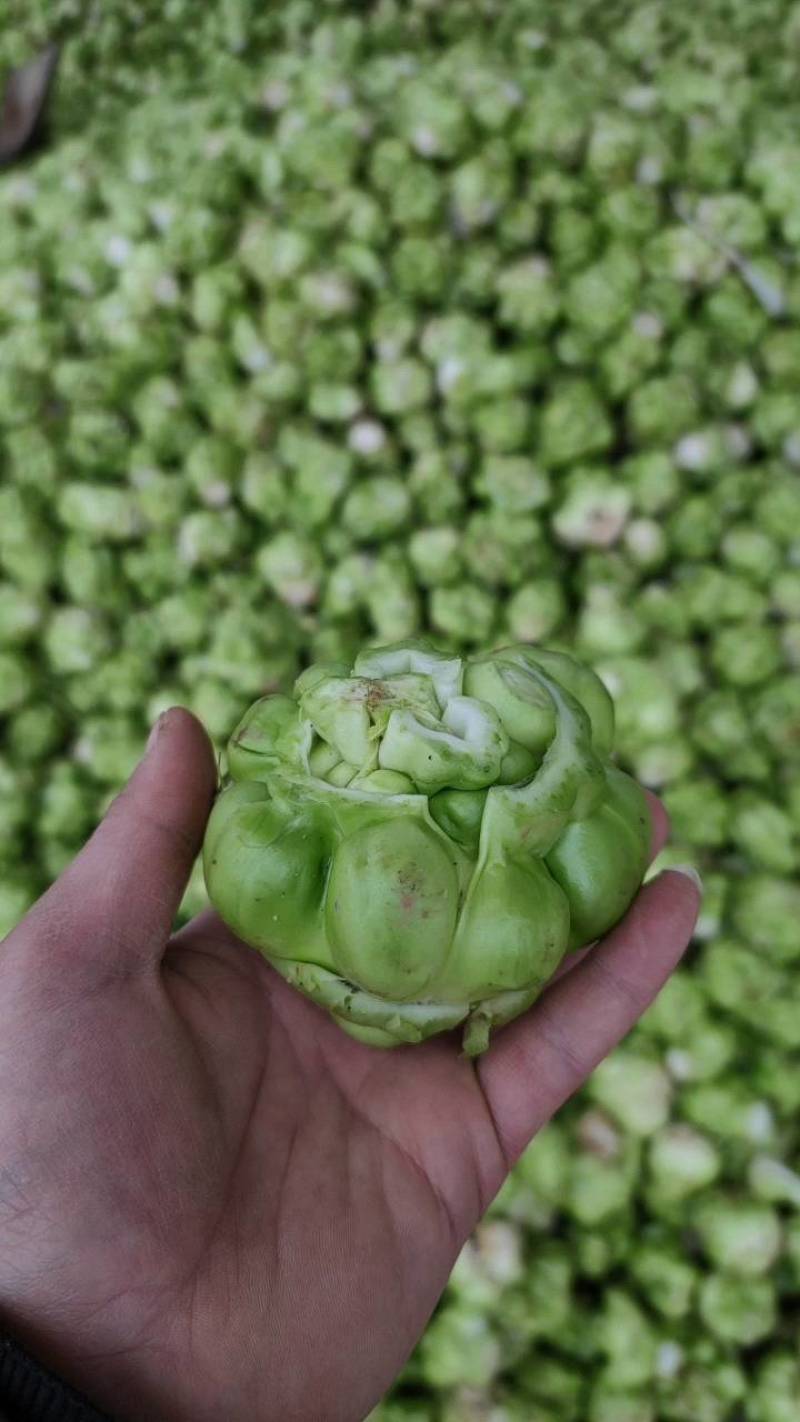 新鲜榨菜市场，对接电商，超市，食堂，工厂