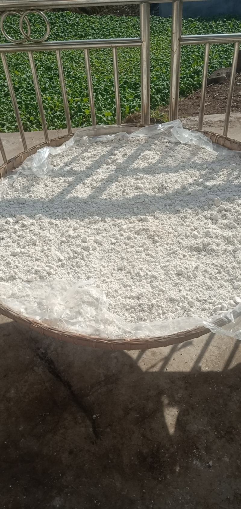红薯粉