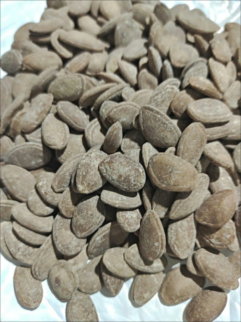 吊瓜子瓜蒌子坚果零食大颗粒瓜蒌子吊瓜子批发奶油味/原味