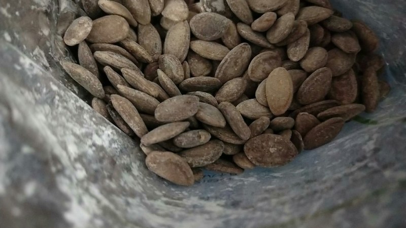 吊瓜子瓜蒌子坚果零食大颗粒瓜蒌子吊瓜子批发奶油味/原味