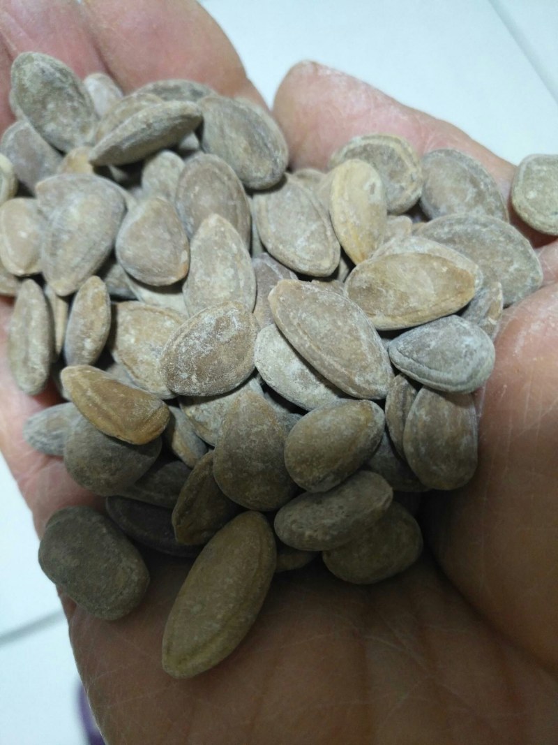 吊瓜子瓜蒌子坚果零食大颗粒瓜蒌子吊瓜子批发奶油味/原味