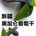 新疆黑加仑葡萄干黑加仑葡萄干休闲零食黑加仑葡萄干包邮