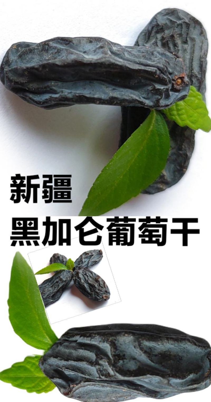 新疆黑加仑葡萄干黑加仑葡萄干休闲零食黑加仑葡萄干包邮