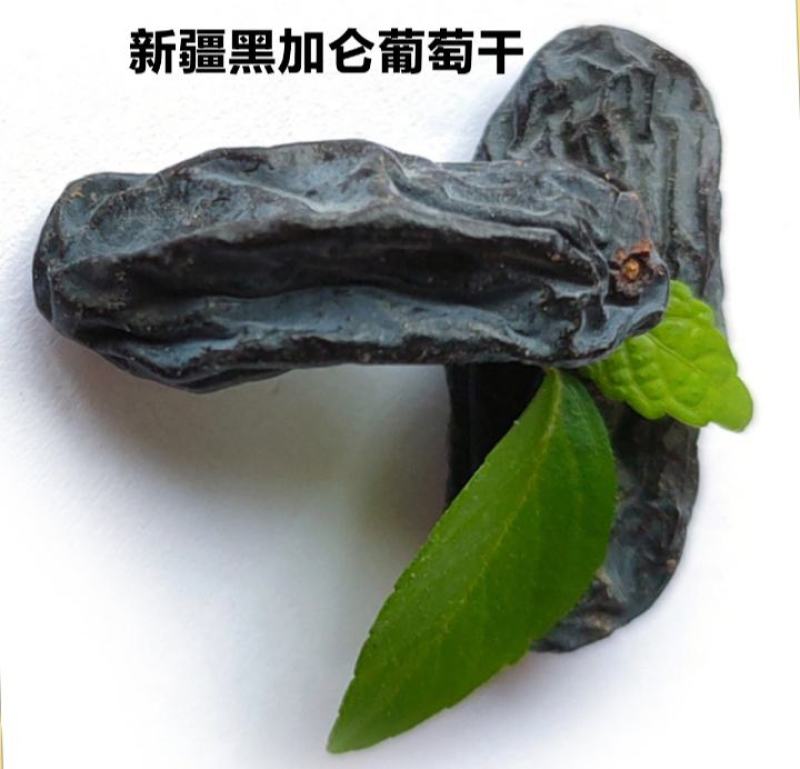 新疆黑加仑葡萄干黑加仑葡萄干休闲零食黑加仑葡萄干包邮